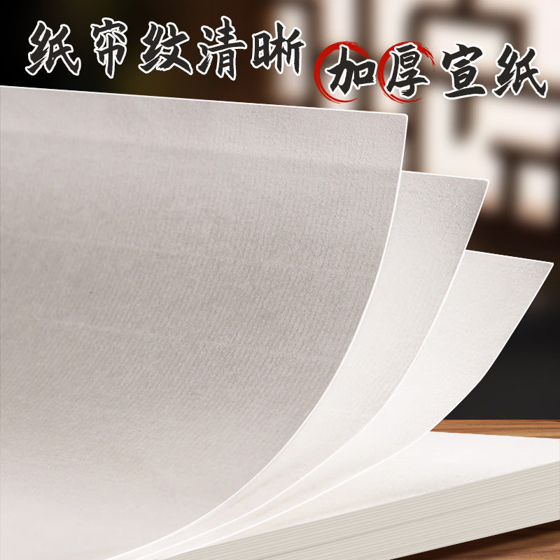 8K Calligraphy and Painting Xuan Paper Practice Set for Beginners - Chinese Painting and Art Practice Paper