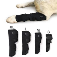 Pet Dog Knee Brace for Post-Surgery Recovery and Joint Support