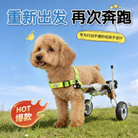 Pet Dog Wheelchair for Disabled Hind Legs Rehabilitation