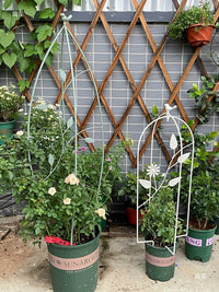 Wrought Iron Folding Birdcage Climbing Vine Stand Balcony Decoration Flower Rack Retro Indoor Courtyard Garden Clematis Support