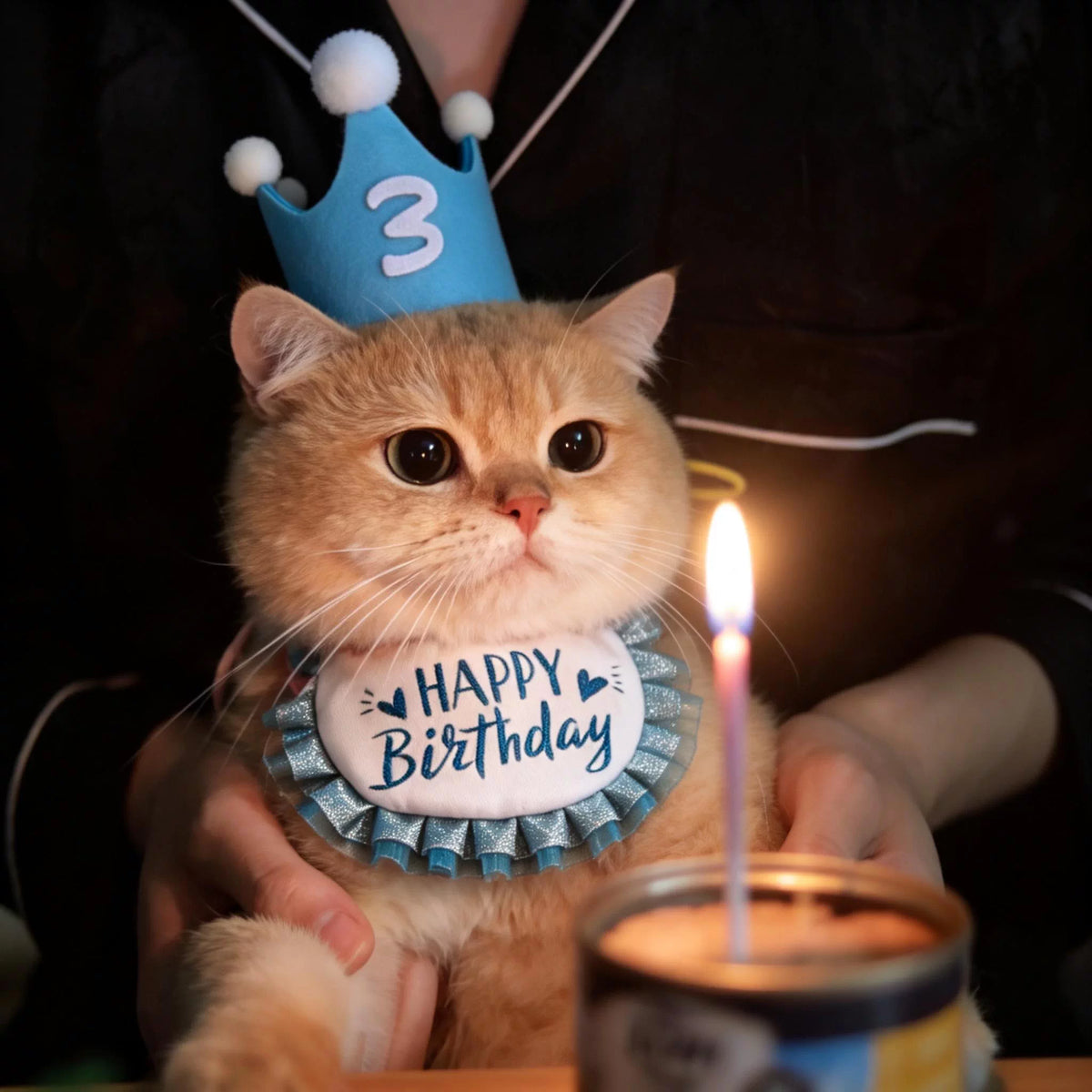 Cat Birthday Hat and Bib Set for Pets, Decorative Scarf and Hat for Photo Props