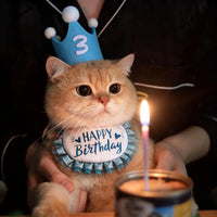 Cat Birthday Hat and Bib Set for Pets, Decorative Scarf and Hat for Photo Props