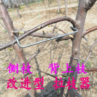 Fruit Tree Branch Spreader for Gardening and Training