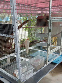Galvanized Welded Wire Mesh for Animal Cages - Chicken, Rabbit, Pigeon Coops