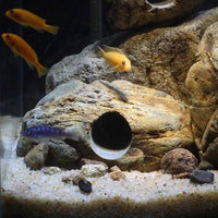 Natural Rock Cave Aquarium Decor for Breeding and Hiding