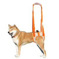 Dog Rear Leg Support Harness for Injured, Disabled, or Elderly Dogs
