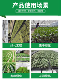 Thickened Seedling Starter Trays for Vegetables, Watermelon, Corn, and Chili Peppers
