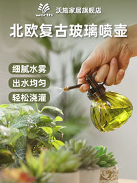 Vintage Glass Plant Mister Spray Bottle for Indoor Gardening and Succulents
