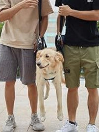Dog Support Harness for Back Legs - Pet Mobility Aid for Walking, Injury Recovery, and Senior Dogs