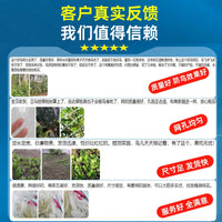 Bird Netting for Fruit Trees, Gardens, and Ponds - Durable Nylon Mesh Protection