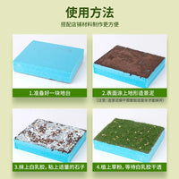 Model Scenery Grass Powder for Dioramas and Architectural Models, 50g Bag