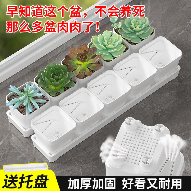 Rectangular Succulent Planter with Detachable Tray for Windowsill & Desktop