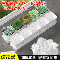 Rectangular Succulent Planter with Detachable Tray for Windowsill & Desktop