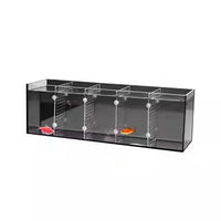 Multi-Compartment Ultra-White Glass Betta Fish Tank for Desktop or Balcony