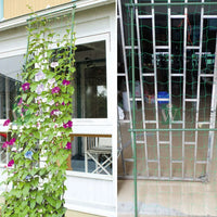 Garden Arch Trellis for Climbing Plants, Roses, Clematis, and Vines - Metal Plant Support Frame with Netting