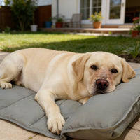 Pet Cooling Mat Waterproof Quick-Dry for Large Dogs Indoor Outdoor Sofa Bed