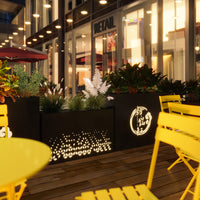 Outdoor Iron Stainless Steel Planter Box with Solar Light for Restaurant & Plaza Dividers
