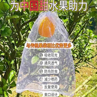 Fruit Protection Bags for Peaches, Apples, Guavas, Pears - Anti-Insect and Anti-Bird Net Covers for Fruit Trees