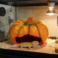 Reptile Hideout House Decoration for Corn Snakes Geckos Lizards, Resin Pumpkin/Tree Stump Design