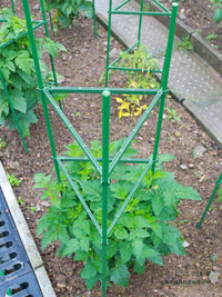 Tomato Cage Plant Support Stakes for Climbing Vegetables and Potted Plants