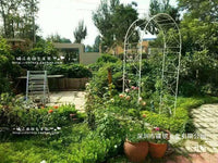 European Style Wrought Iron Rose Arch for Garden and Climbing Plants