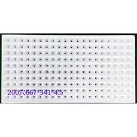 Foam Hydroponic Seedling Trays for Vegetable and Tobacco Cultivation