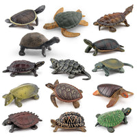 Realistic Amphibious Reptile Turtle Model Figurines for Decoration and Play