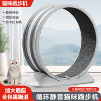 Cat Treadmill Exercise Wheel with Anti-Pinch Design for Pet Fitness and Play
