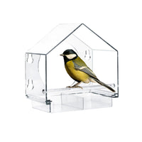 Acrylic Transparent Bird Feeder for Parrots Wall-Mounted Suction Cup Design