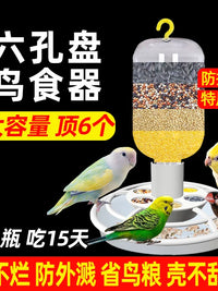 Six-Hole Bird Feeder Anti-Splash Parrot Feeder Automatic Dispenser Large Capacity Outdoor Hanging Bird Food Container