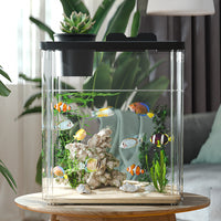 Desktop Aquarium Fish Tank for Home and Office, Thickened Square Ecological Tank for Goldfish and Landscaping