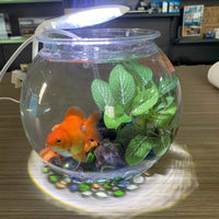 Desktop Round Fish Tank Small Goldfish Bowl Plastic Landscape Ecological Aquarium Transparent Shatterproof