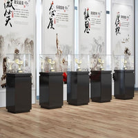 Museum Display Case with Tempered Glass for Collectibles, Jewelry, and Samples