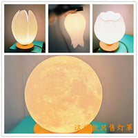 3D Printed Moon Lamp Shade with G9/E27 Screw Base for Pendant Lights