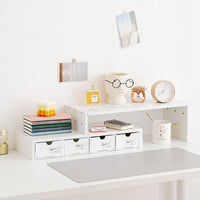 Desktop Monitor Stand with Storage Organizer for Home Office