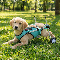 Pet Dog Wheelchair for Hind Leg Rehabilitation - Lightweight, Silent, Reflective Mobility Aid