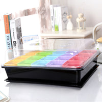 Rectangular Plastic Seedling Tray with Optional Clear Lid for Succulents and Small Plants