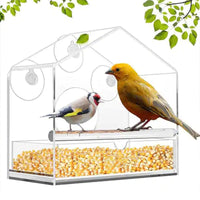 Acrylic Wall-Mounted Bird Feeder Cage for Small Birds