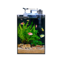 Ultra-Clear Glass Aquarium for Betta Fish and Aquatic Plants, Desktop Mini Landscape Tank with Lid