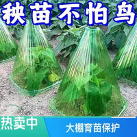Plant Seedling Protection Cover for Greenhouse Vegetable Melon Seedlings - Warmth, Frost Protection, Insect Prevention, and Nursery Cultivation