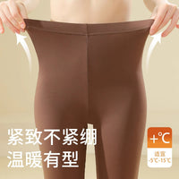 Women's Modal Thermal Leggings with German Velvet Lining, High Waist, Tummy Control, and Antibacterial Properties
