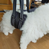 Pet Dog Rear Leg Support Harness for Injured Disabled Senior Dogs Rehabilitation Aid
