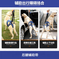 Dog Rear Leg Support Harness for Injured or Senior Dogs with Adjustable Waist