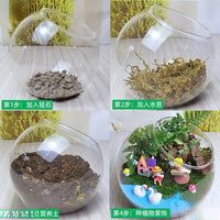 DIY Moss Terrarium Kit with Sphagnum Moss and Nutrient Soil for Succulents and Plants