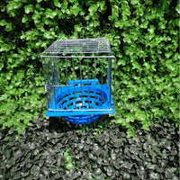 Foldable Bird Cage for Myna and Parrot, Wholesale Supply