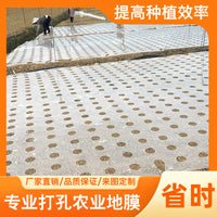 Agricultural Perforated White Mulch Film for Greenhouse Vegetable & Crop Planting