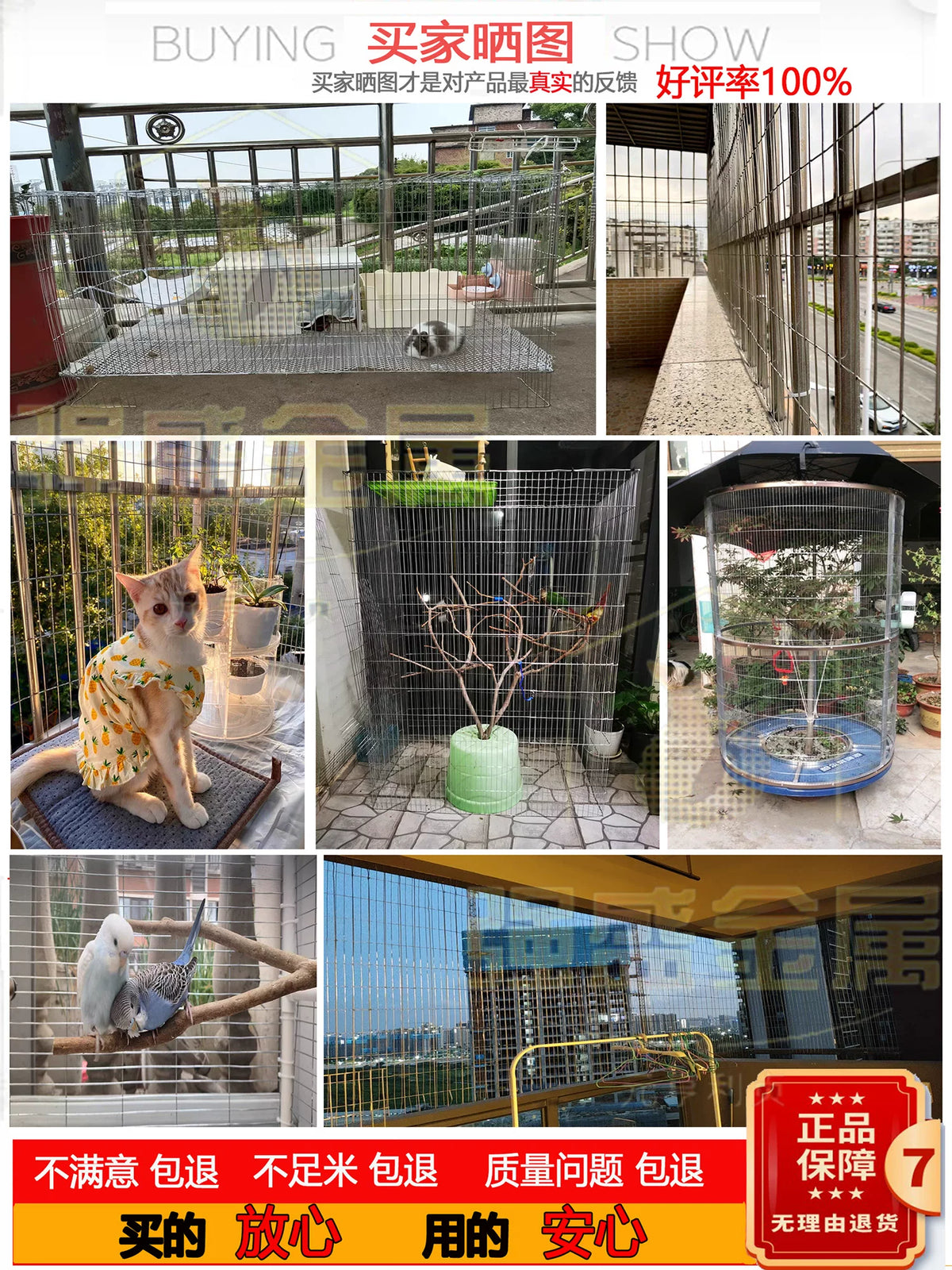 Galvanized Welded Wire Mesh for Poultry Cages, Rabbit Hutches, Pigeon Enclosures, and Fencing