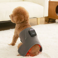 Pet Red Light Therapy Pad for Joint Pain Relief and Recovery, Rechargeable Far Infrared Device for Cats and Dogs