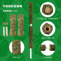 Plant Climbing Support Pole for Potted Plants, Moss Pole for Indoor Vines and Creepers, Detachable Garden Trellis Kit