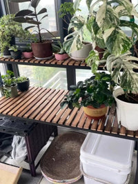 Balcony Solid Wood Multi-tier Cat Climbing Frame with Large Cat Condo and Iron Art Flower Stand, Two-Layer Multifunctional Pet Supplies Storage Shelf